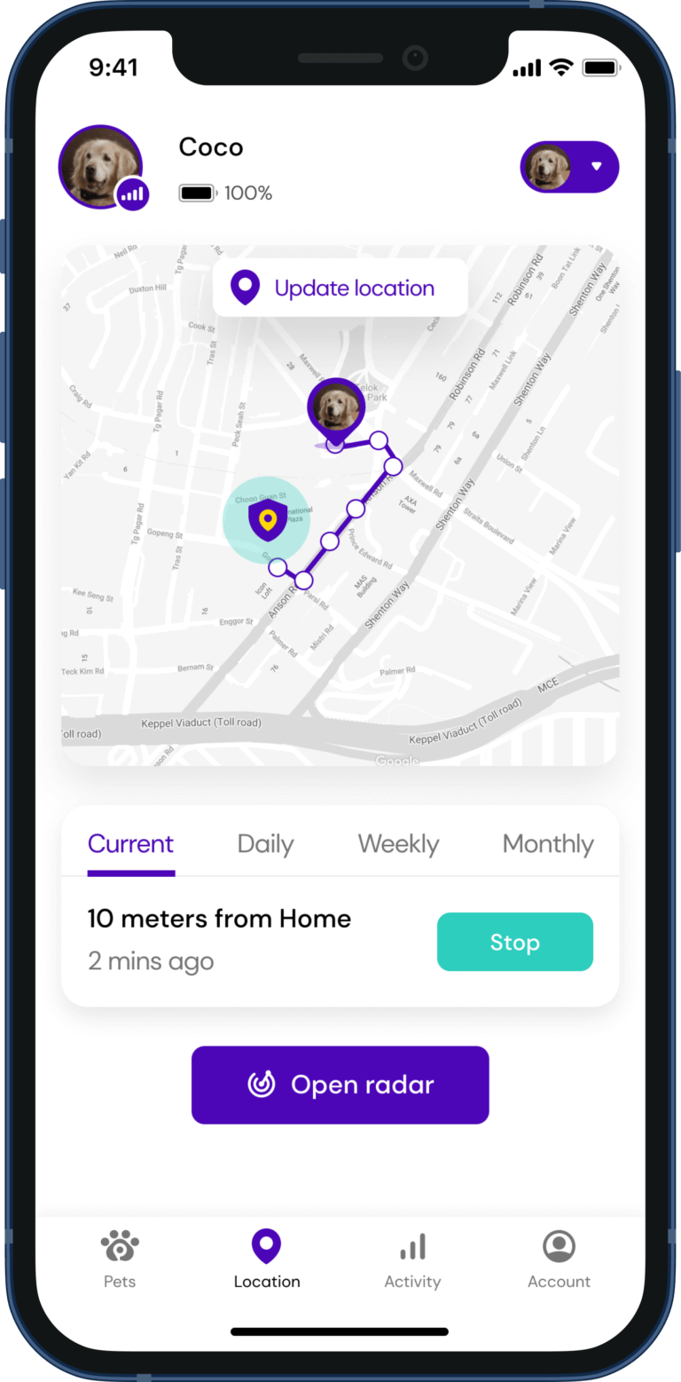 Location tracking_Real-time tracking