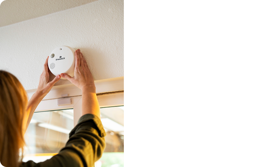 Sync Security System