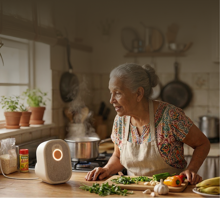 Accessible Information & Voice Search