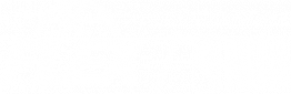 Flex _ NBA 1C - White Logo